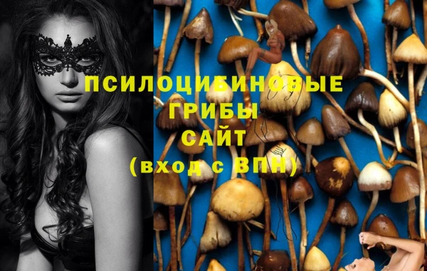 трава Магас