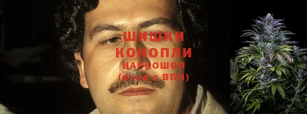 спиды Медногорск