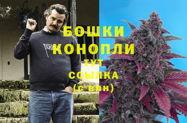 трава Магас