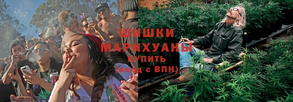 трава Магас